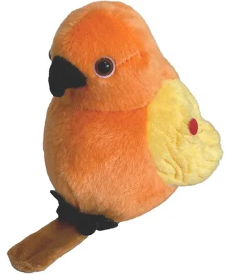Image de STEPPOS Petit oiseau répétant et chantant