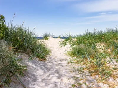 Produktbild von Papermoon VLIES Fototapete, Digitaldruck,  Dünen in der Ostsee (1084)