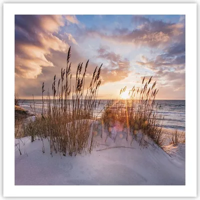 Produktbild von Poster - Poster ohne Rahmen - Westen auf der Strand - 60x60 cm - Wand Bild - Wanddeko - Wandbilder - Kunstposter - Wandposter - Bilder - Kunstdruck - Wanddekoration - Wandbild - P2XAC60x60-4710