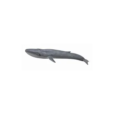 Produktbild von Collecta - Blauer Wal - XL - 88834 (90188834) COLECTA