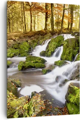 Produktbild von Bild auf Leinwand - Leinwandbild - Einteilig - Sonne Berg Bach Park - 70x100cm - Wand Bild - Wanddeko - Wandbilder - Leinwanddruck - Wanddekoration - Leinwand bilder - Wandbild - PA70x100-2636