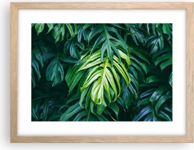 Produktbild von Gerahmtes Poster - Rahmen in heller Eiche - Blume Natur - 40x30 cm - Wand Bild - Wanddeko - Wandbilder - Kunstposter - Wandposter - Bilderrahmen - Bilder - Kunstdruck - Wandbild - P2NAA40x30-3951