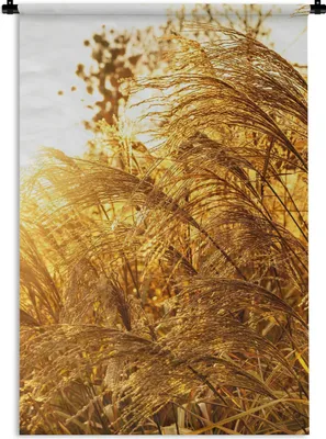 Produktbild von MuchoWow® Wandteppich Wandbehang Pampasgras - Sonne - Gras 60x90 cm Tapisserie Dekoration Wandtuch - Foto-Teppich - Abwaschbar