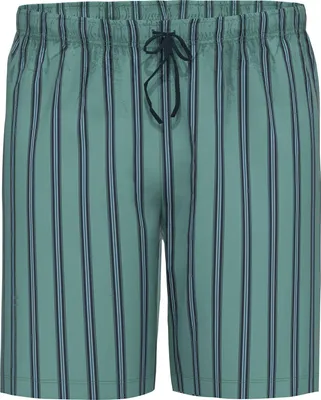 Produktbild von Ammann Bio Herren-Hose Streifen, kurz jade L