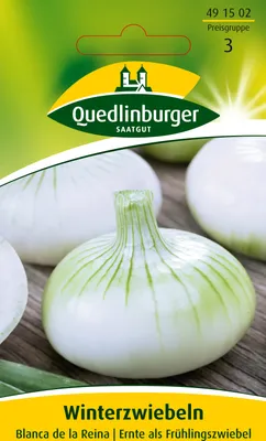 Produktbild von Winterzwiebel, Blanca de la Reina