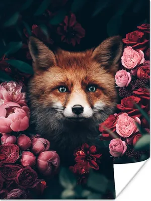 Produktbild von MuchoWow® Poster Fuchs - Blumen - Tiere 120x160 cm - Wandbilder