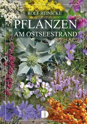 Image de Pflanzen am Ostseestrand