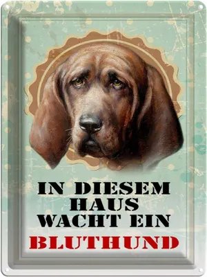 Produktbild von vianmo Blechschild 40x30 cm Hund in diesem Haus wacht Bluthund