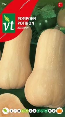 Obrázok produktu pre Tekvicové maslové semienka - cca 1,5 gr | VT_982