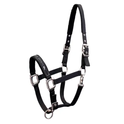 Zdjęcie produktu dla Schockemöhle Sports Memphis Halter
