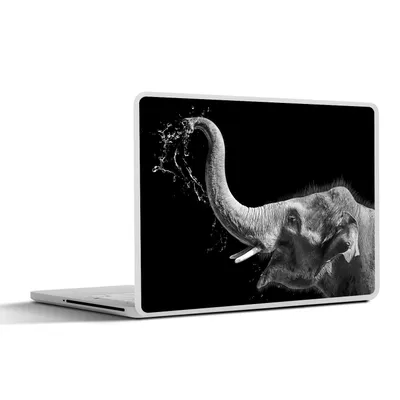 Produktbild von MuchoWow® Laptop Aufkleber Sticker Cover Porträt - Elefant - Tiere - Schwarz und weiß 31x22.5 cm - Laptop-Deko