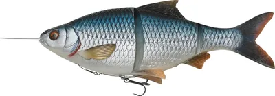 Obrázek produktu pro Savage Gear 4D Line Thru Roach - barva Roach