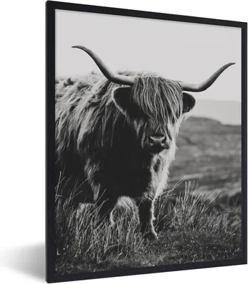 Produktbild von MuchoWow® Gerahmtes Poster Schottische Hochlandbewohner - Natur - Kühe - Tiere - Schwarz und weiß 60x80 cm - Poster mit Schwarzem Bilderrahmen Wandposter Rahmen Foto Bilder - Premium - Wanddeko Wohnzimmer