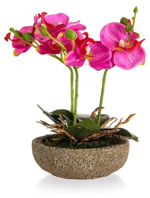 Produktbild von WOHNKULTUR Fuchsie in einem Blumentopf aus Beton 21,5 x 14 cm