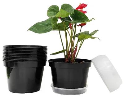Produktbild von Omgoods - Plastik-Blumentöpfe, 8 Zoll - 12 Stück mit Untersetzern, für Innen- und Außenbereich