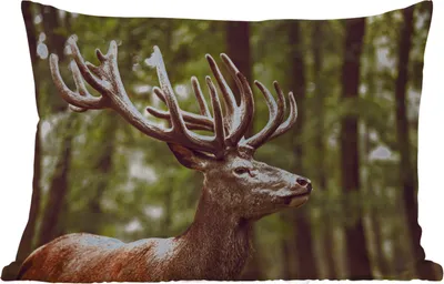 Produktbild von MuchoWow® Outdoor Kissen - Hirsch - Natur - Geweih - Wald - Tiere - 50x30 cm - Wetterfest - Lounge Kissen - Sofa kissen - Wohnzimmer Dekoration