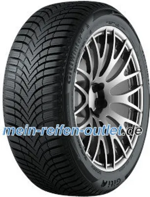 Produktbild von Giti Gitiwinter W2 205/55R16 91H Bsw