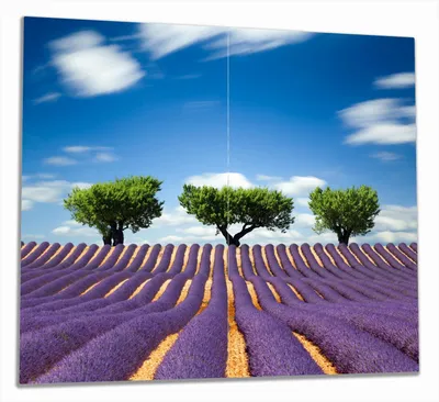 Produktbild von Wallario Herdabdeckplatte aus Glas, Größe 60 x 52 cm 2-teilig, Motiv Abstraktes lila Blumenfeld mit Lavendel