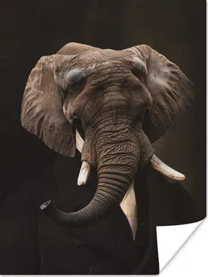 Produktbild von MuchoWow® Poster Gemälde - Elefant - Alte Meister 30x40 cm - Wandplakat - Poster Kinderzimmer