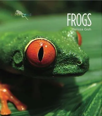 Produktbild von Frogs