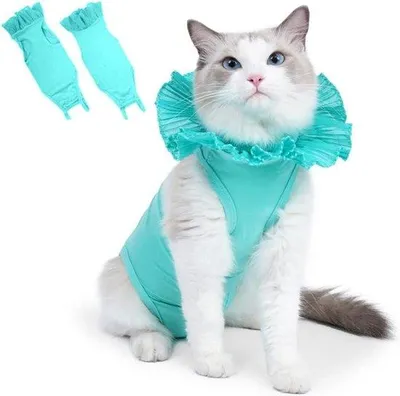 Produktbild von Kattenherstelpak Anti-Likken en Ademend - Groen - Geschikt voor Buikwonden und Hauterkrankungen