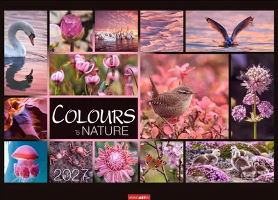 Produktbild von Colours of Nature Kalender 2027