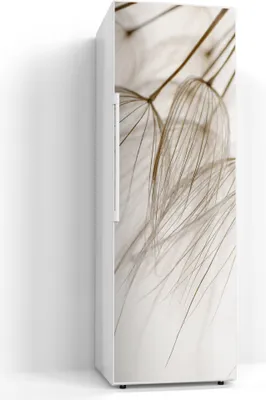 Produktbild von DEQORI Magnetmatte Kühlschrank beschreibbar 60x180 cm 'Pusteblumenpoesie' Magnetfolie