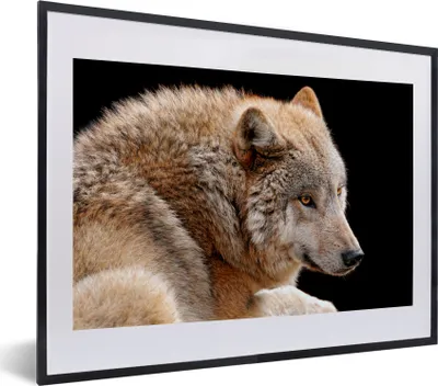 Produktbild von MuchoWow® MuchoWow® Gerahmtes Poster Brauner Wolf 40x30 cm - Poster mit zchwarzem Bilderrahmen - Bilderrahmen - Poster im Rahmen