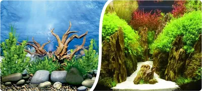 Image de Fond d'aquarium 9091 Happet T135 rouleau 60cm