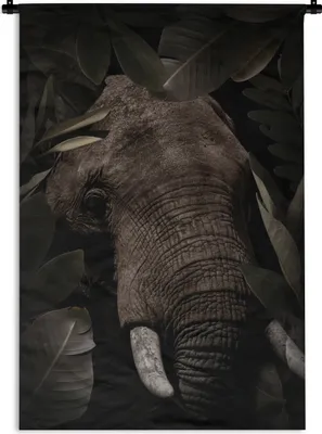 Produktbild von MuchoWow® Wandteppich Wandbehang Elefant - Dschungel - Pflanzen 90x135 cm Tapisserie Dekoration Wandtuch - Baumwolle - Wandskulptur