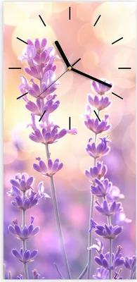 Produktbild von Wanduhr aus Glas mit Motiv Lavendelblütenfeld- 30 x 60 cm - inkl. Aufhängesystem