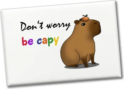 Produktbild von Don’t worry be capy Souvenir Souvenir Magnet mit süßem Capybara