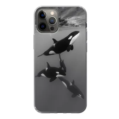 Produktbild von MuchoWow® Handyhülle Schutzhülle Hülle für iPhone 13 Pro Orca - Wasser - Schwarz - Weiß Silikon Softcase Handy Hülle - Handy-Tasche