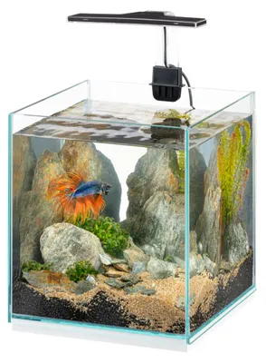 Aquarium 9,5 L mit LED-Lampe, 3 Modi, Glas, 22x22x36 cm