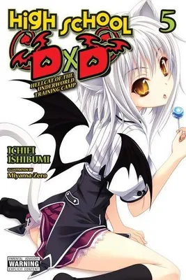 Zdjęcie produktu dla High School DxD, Vol. 5 (light novel)