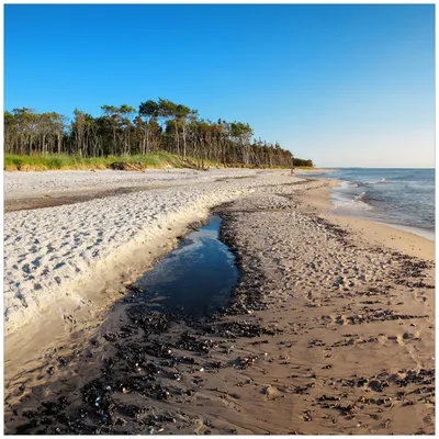 Produktbild von Wallario Magnet für Kühlschrank / Geschirrspüler, magnetisch haftende Folie - 60 x 60 cm, Motiv: Einsamer Strand am Meer - Blauer Himmel
