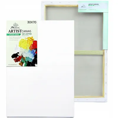 Image de Toile de peintre pour peinture 30x70 Phoenix canvas stretcher bars