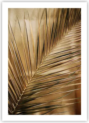 Produktbild von Poster - Poster ohne Rahmen - Blatt Gold Pflanze - 50x70 cm - Wand Bild - Wanddeko - Wandbilder - Kunstposter - Wandposter - Bilder - Kunstdruck - Wanddekoration - Wandbild - P2XPA50x70-5041