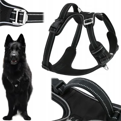 Produktbild von HUGGY DOGGY Walky Guard Hundegeschirr XL schwarz