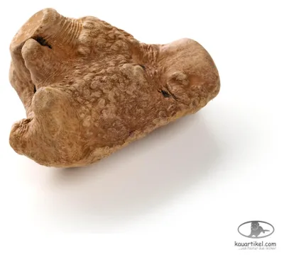 Produktbild von Ayka Kauwurzel, VPE:1 Stück, Größe:XL