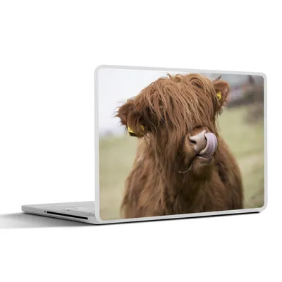 Produktbild von MuchoWow® Laptop Aufkleber Sticker Cover Schottischer Highlander - Braun - Tiere 40x30 cm - Laptop Dekoration - Selbstklebend