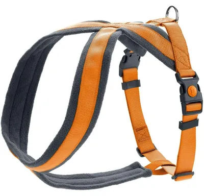 Produktbild von HUNTER Geschirr London Comfort Orange XS-S