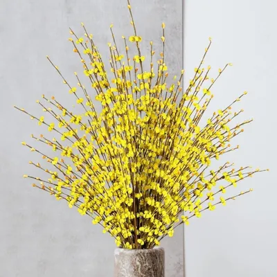 Immagine prodotto di 8 fiori di gelsomino nepalese per decorazione