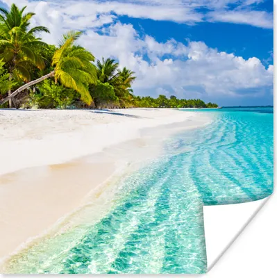 Produktbild von MuchoWow® Poster Palme - Meer - Tropisch 100x100 cm - Babyzimmer