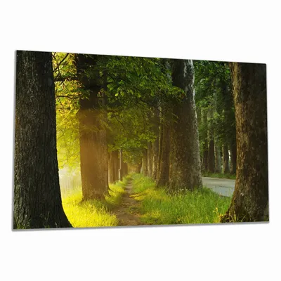 Produktbild von Wallario Herdabdeckplatte aus Glas, Größe 80 x 52 cm 1-teilig, Motiv Allee bei Sonnenuntergang