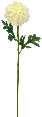 Produktbild von Gasper Dahlienzweig 54 cm weiß - Kunstblume