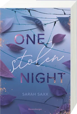 Image de One Stolen Night