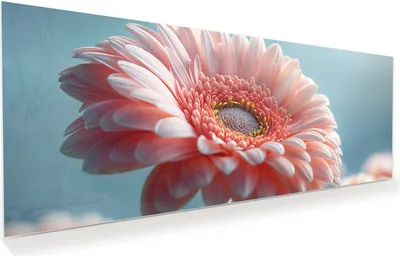 Produktbild von Glasbild 100x40cm in XXL für Wohnzimmer, Schlafzimmer Motiv Blumenpracht