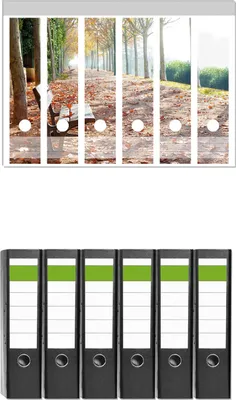 Produktbild von Wallario 6 Stück breite Ordner inkl. Klebeetiketten mit Motive Einsame Parkbank an einer Allee - Herbststimmung -  Set mit Rückenschildern / Ordnerrücken Stickern