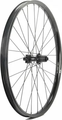 Produktbild von Progress E:race 29´´ Boost Disc Tubeless Mtb Hinterrad Silber 12 x 148 mm / Shimano Micro Spline Silber 12 x 148 mm